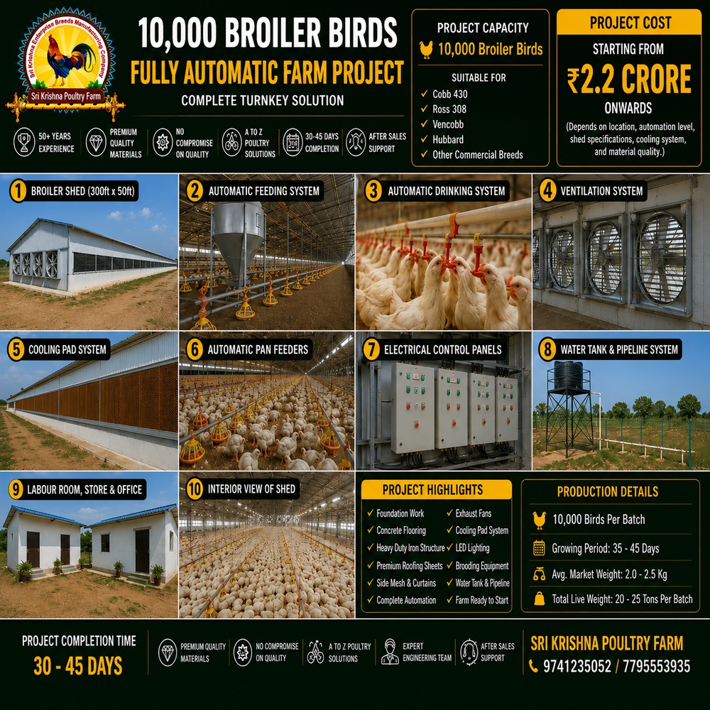 EC Boiler Farm Construction