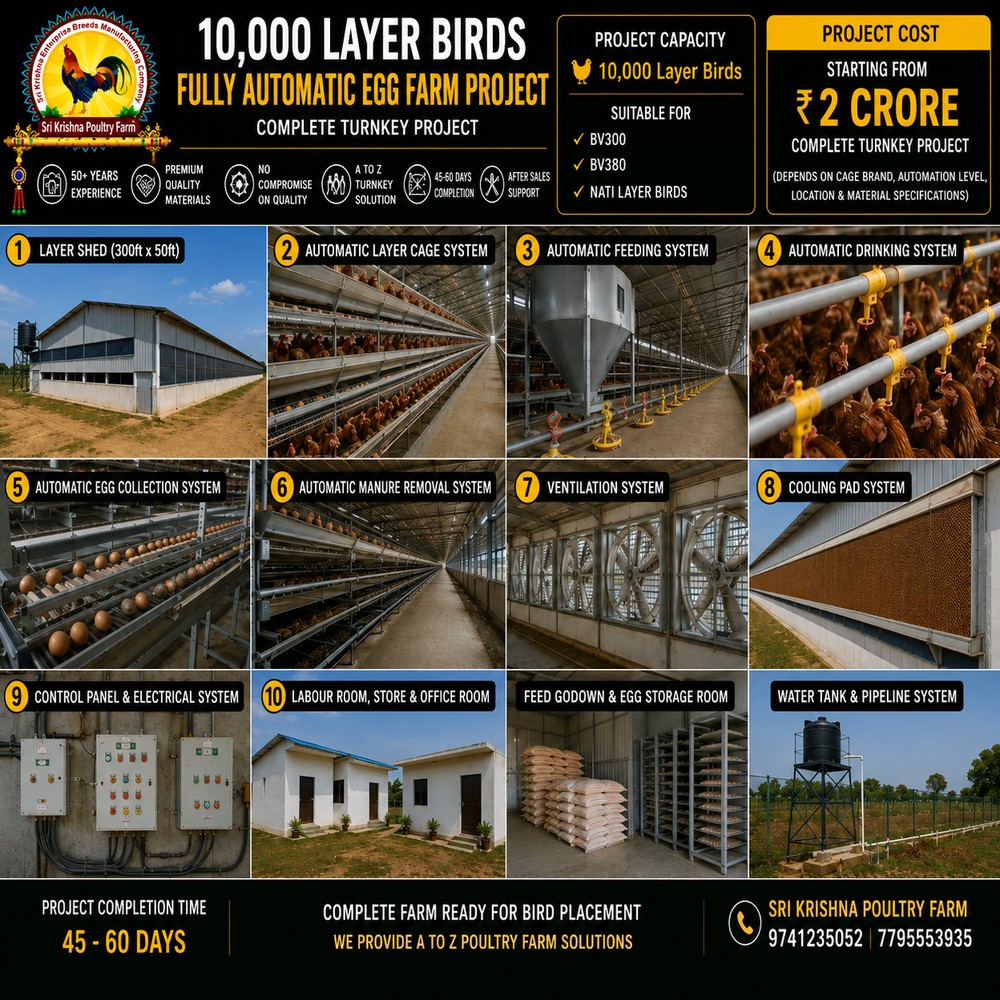Egg Layer Farm Construction