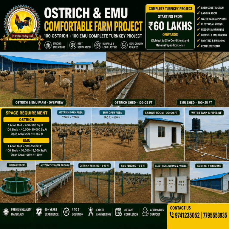 Ostrich and Emu Farm Construction