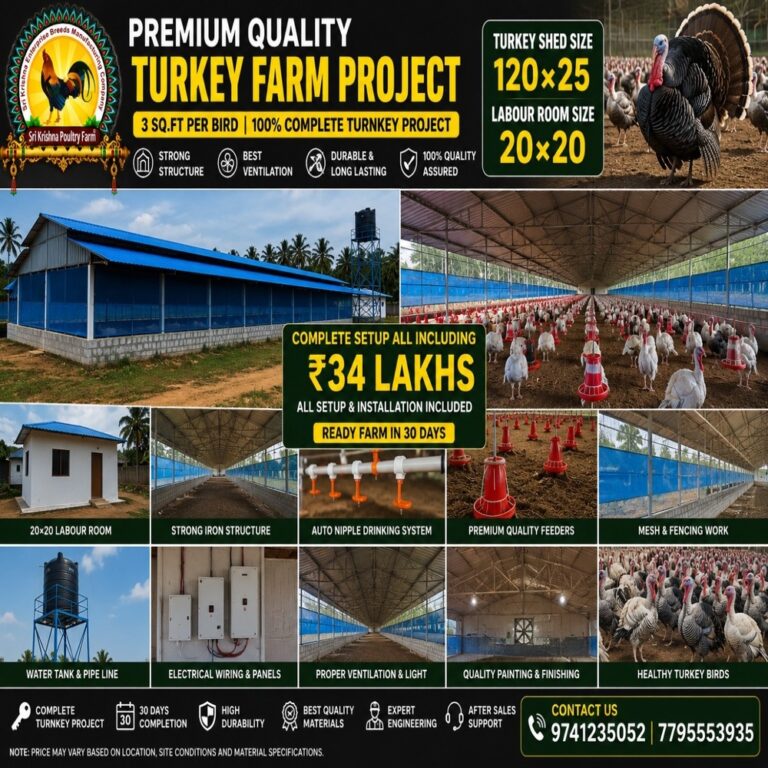 Turkey Farm Construction