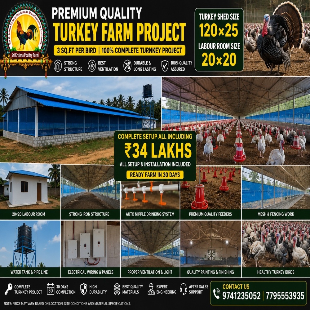 Turkey Farm Construction