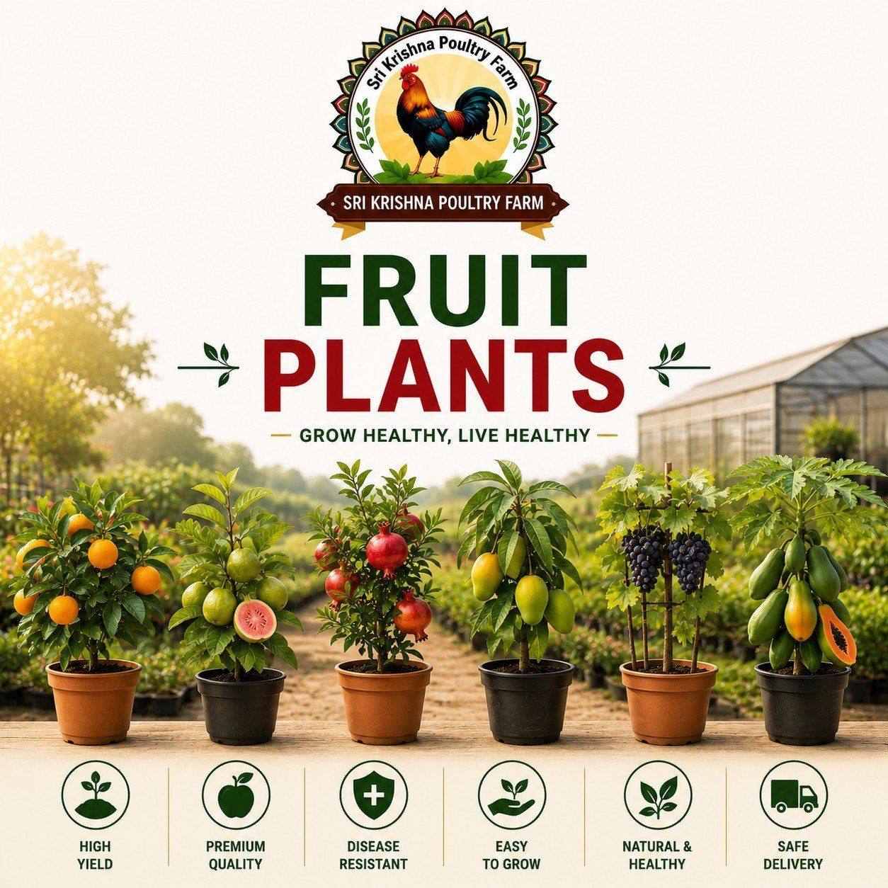 Fruit Plants