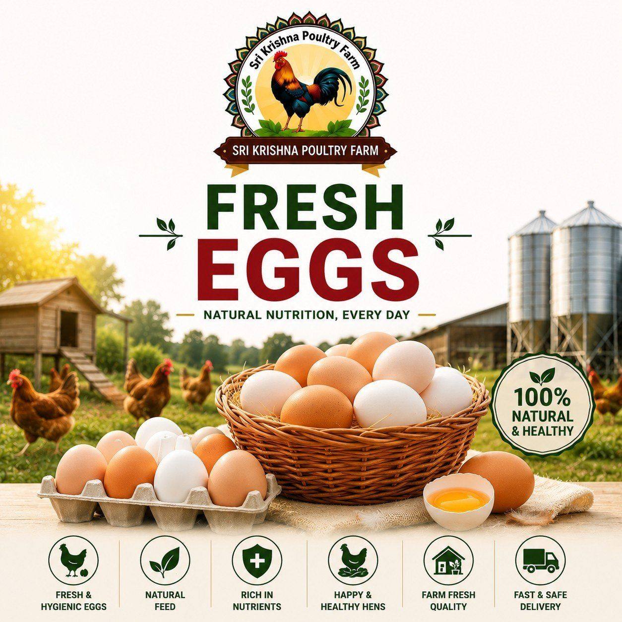 Eggs