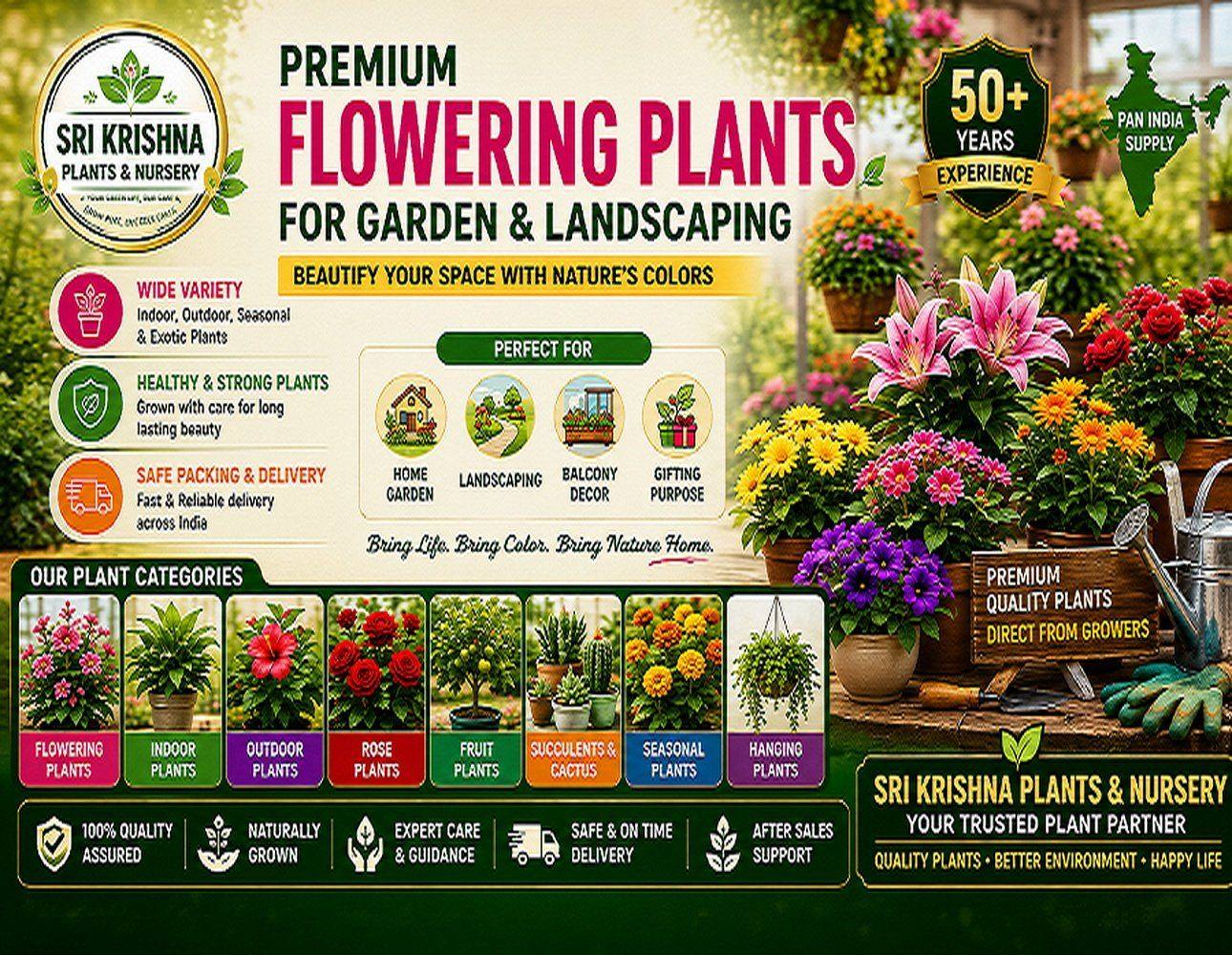 Flower Plants