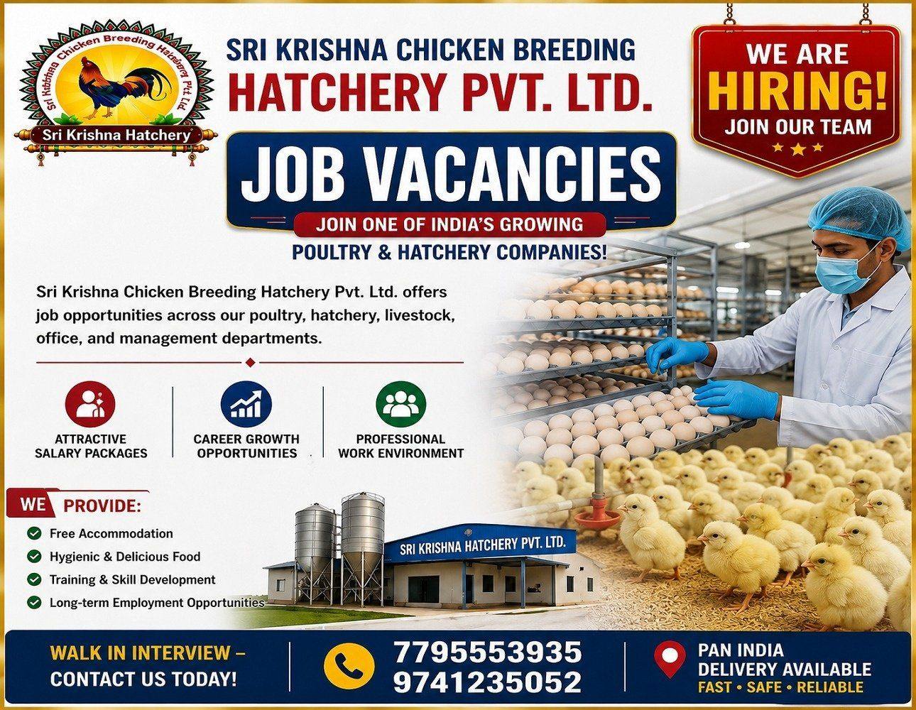 Job Vacancies